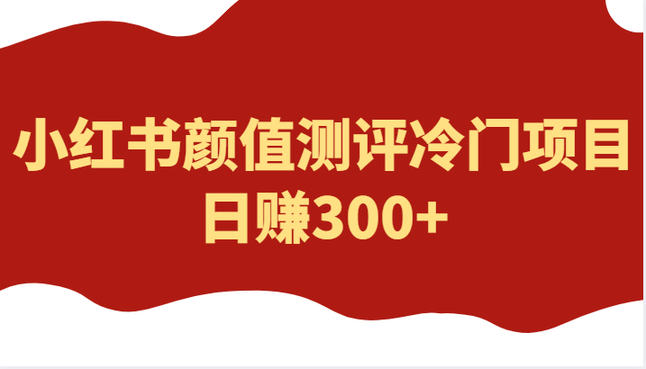 外面4980的项目，小红书颜值测评冷门项目，日赚300+-颜夕资源网-第10张图片