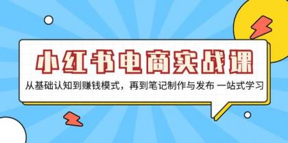 小红书电商实战课，从基础认知到赚钱模式，再到笔记制作与发布 一站式学习-颜夕资源网-第12张图片