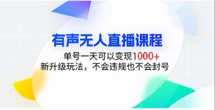 有声无人直播课程，单号一天可以变现1000+，新升级玩法，不会违规也不会封号-颜夕资源网-第12张图片