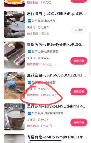 代发视频，简单易上手 3分钟发一条视频 纯小白实操日入202元-颜夕资源网-第14张图片