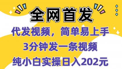 代发视频，简单易上手 3分钟发一条视频 纯小白实操日入202元-颜夕资源网-第13张图片