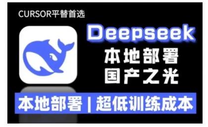 2025年deepseek R1 大型模型当地部署应用(文档 实例教程)本地部署，极低练习成本费-颜夕资源网-第12张图片