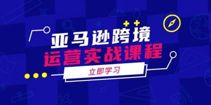 亚马逊跨境运营实战课程：涵盖亚马逊运营、申诉、选品等多个方面-颜夕资源网-第12张图片