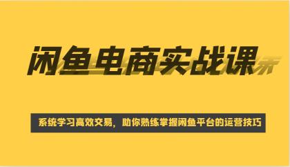 闲鱼电商实战课，系统学习高效交易，助你熟练掌握闲鱼平台的运营技巧-颜夕资源网-第12张图片