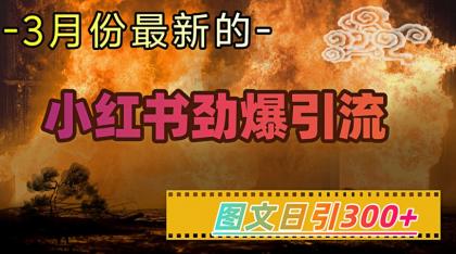 小红书的超劲爆引流方法方式，图文并茂日引300 轻轻松松转现1W-颜夕资源网-第12张图片