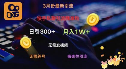 快手视频私信引流方法精准粉，当日奏效不用上传视频打金引流法日引300-颜夕资源网-第12张图片